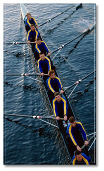 Executive Team Image